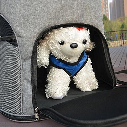 Outdoor Soft-sided Dog Cat