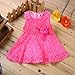Rorychen Cute Baby Girls Sleeveless Lace Pleated Dress with Flower Party(0-24M)