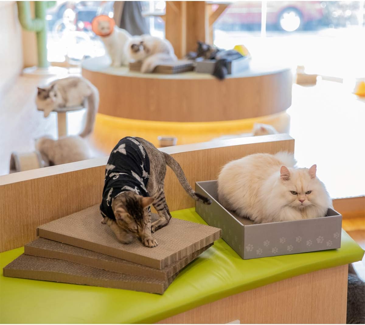 WellQ 12" XL Wide Cat Scratcher Cardboard 4PCS Reversible Cardboard Cat Scratching Pads with Cat Scratcher Box… : Pet Supplies