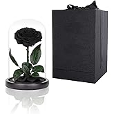 Preserved Roses Black Roses in Glass Dome, Medium, Preserved Flowers for Women