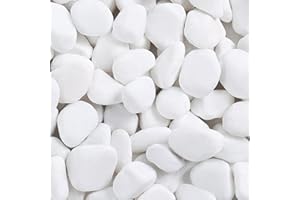 SIDONG 10 lbs White River Rocks, 1.2-2 Inches Matte Pebbles for Indoor Plants, Aquarium Rocks Used in Fish Tank, Decorative Stones for Plants, Vases, Home Décor, Crafting, Garden Landscaping