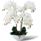 Ziwon Artificial Orchid Flowers Potted in Ceramic Pot, White Faux Phalaenopsis Orchids for Table Centerpiece, Realistic Fake Flower in vase for Home Office Decor Indoor