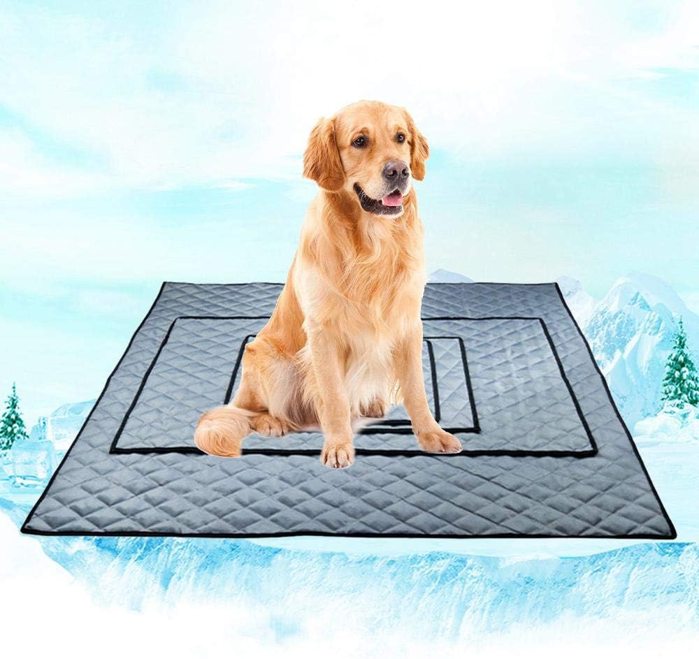 Which Is The Best Chillz Comfort Cooling Gel Large Pet Pad