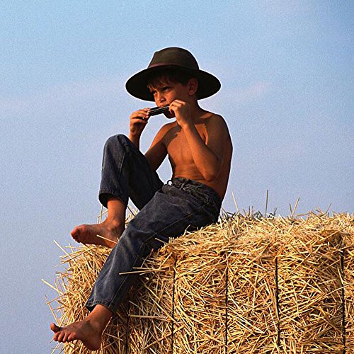Diatonic Harmonica – 10 Hole Blues Harp with Case, Learning Instruction, Polishing Cloth, Key of C
