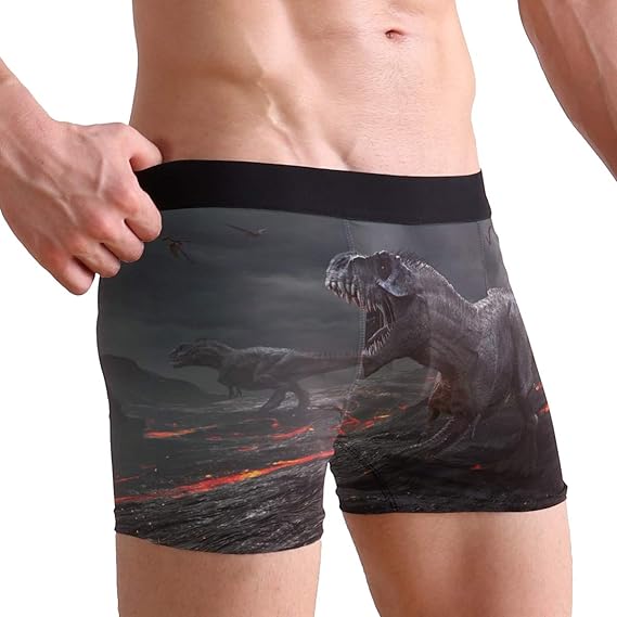 PINLLG Cool Dinosaur Boxer Briefs for Men Boys Youth Soft Comfort