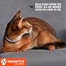 Rolf Club 3D FLEA Collar for Cats – Flea and Tick Prevention for Cats – Cats Flea and Tick Control for 8 Months – Safe Tick Repellent – Waterproof Tick Treatmentthumb 4