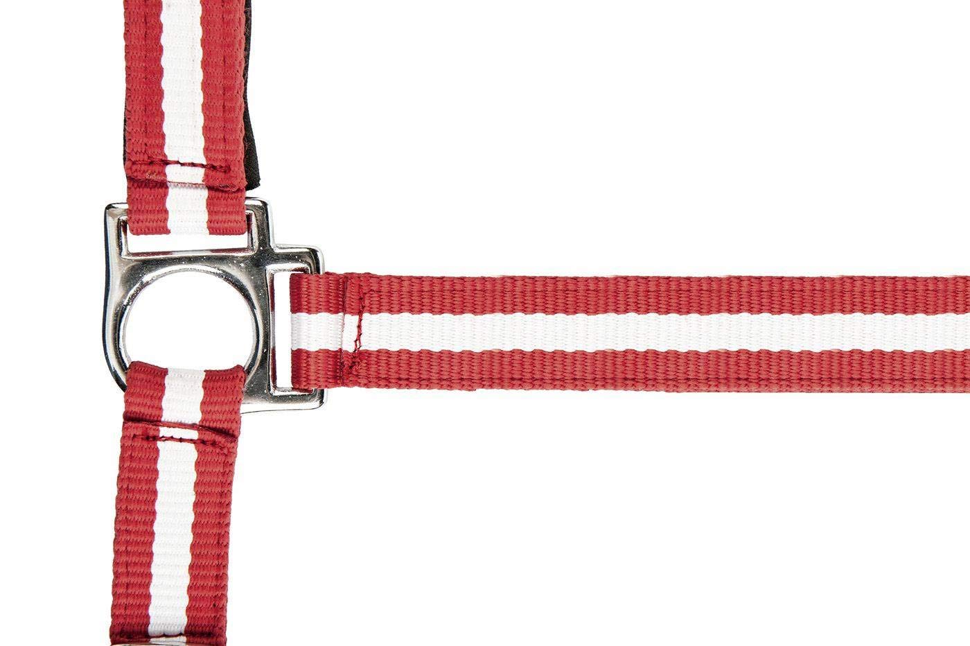 HKM Nylon Headcollar Flags with Carabiner Hook