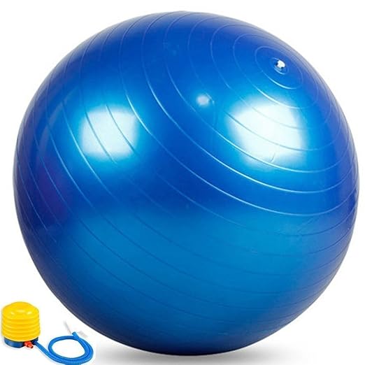 Buy 25 Blue Exercise Ball Supports 250 lb Balance Birth Fitness