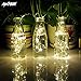 ANTSIR Outdoor Solar Powered Copper Wire String Lights,200 LEDs 66ft 8 Modes,Waterproof for Landscape,Garden,Trees,Weddings,Parties