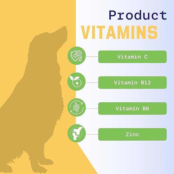 PUPVITAL MULTIVITAMIN TREATS FOR DOGS – GLUCOSAMINE FOR JOINT SUPPORT + SALMON OIL FOR SKIN & COAT HEALTH + IMMUNE HEALTH – ROAST BEEF FLAVOR – 90CT
