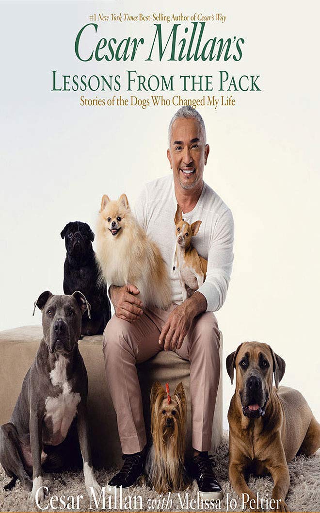 cesar millan amazon