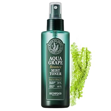 skinfood toner