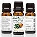 BioFinest Pineapple Fragrance Oil - 100% Pure & Natural - Fresh Home Scent - Air Refresher - Relaxing Aromatherapy - Skin and Hair Care - FREE E-Book (10ml)