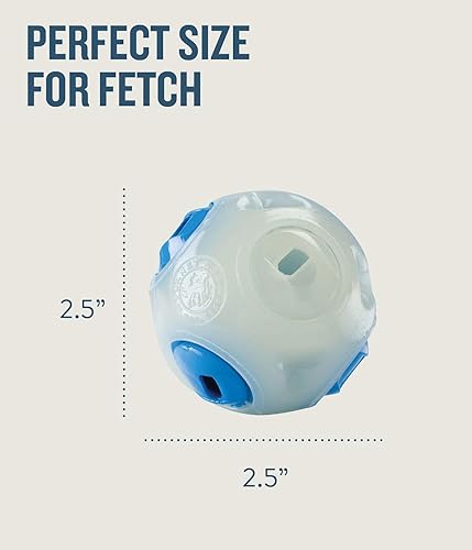 Outward Hound Planet Dog Orbee-Tuff Whistle Ball Glow-in-The-Dark