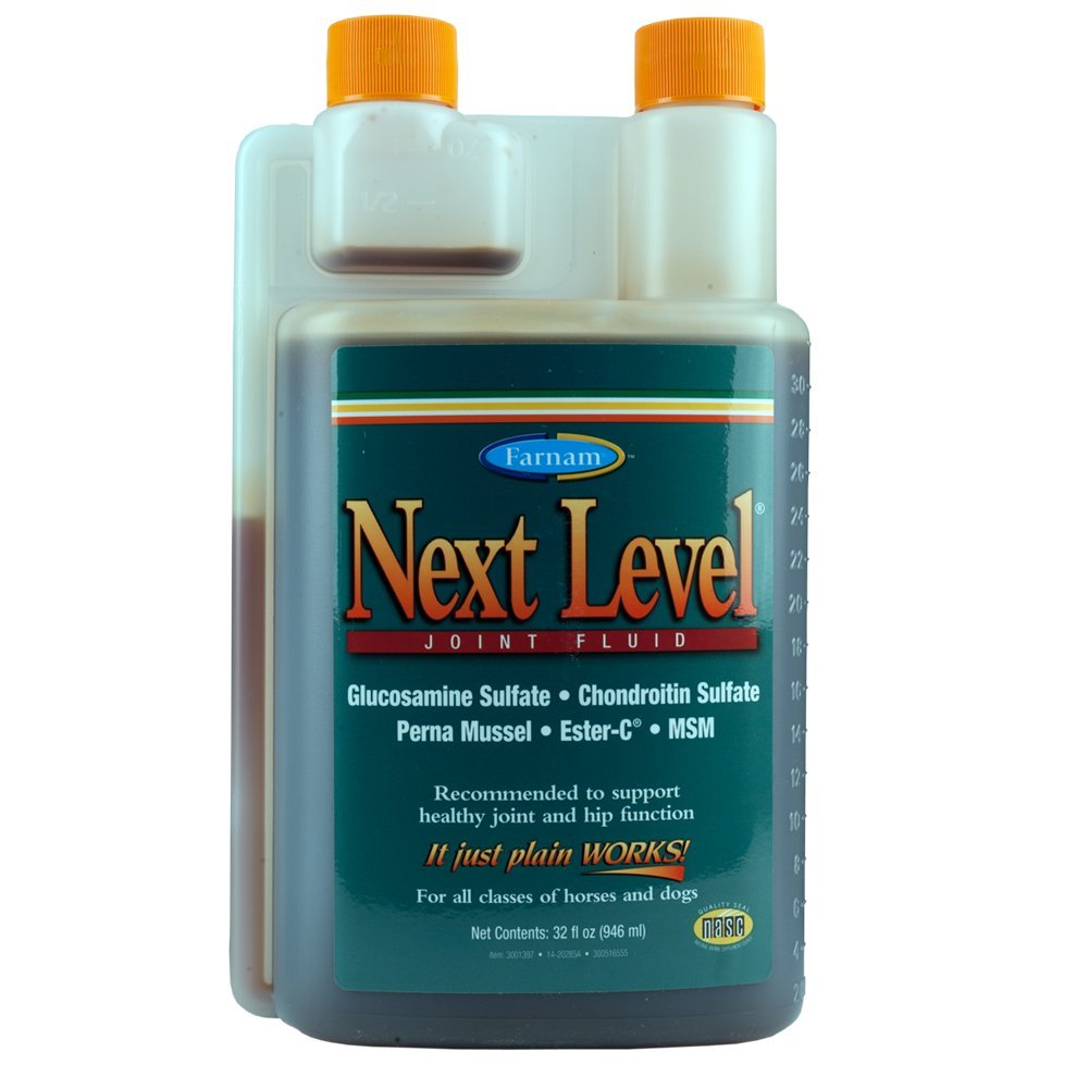 Best Joint Supplement for Horses Best Horse Rider