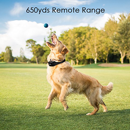 image for Dog Training Collar,Banne 650 Yard Rechargeable and IPX7 Waterproof To
