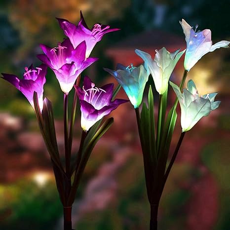 Outdoor Solar Garden Stake Lights 2 Pack Solar Powered Lights