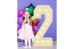 GGPL 4FT Plastic Marquee Numbers 2, Light up Numbers Made of Corrugated Plastic Board, No Tools Required, Quick Assembly, Disassembled into Blank Yard Signs, Poster Board