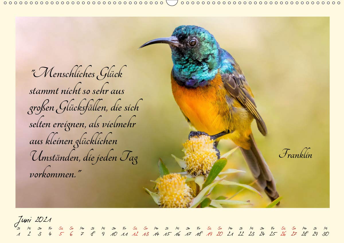 Get Glueckszitate For Android