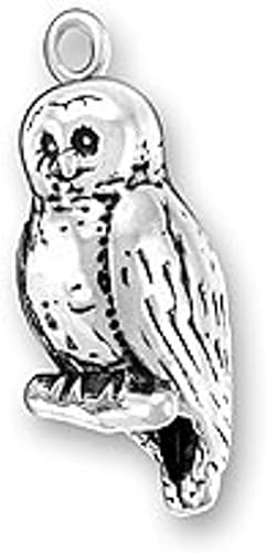 Amazon Com Sterling Silver 3d Bird Hoot Barn Owl Charm Perched On
