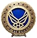 Contemporary Air Force Wings Armed Forces Decorative Custom Laser Crafted Three Dimensional Wooden Wall Plaque