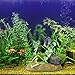 Saim Aquarium Drunken Pirate Skeletons Bubbler Decorations, Gold Fish Hideout Cave Shelter Fish Tank Accessories for Halloween Fish Tank Decorations, Betta Fish Passing or Hiding
