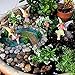 PRETMANNS Fairy Garden Pond Accessories - Miniature Fairies Set – 3 Fairy Figurines & Sign with a Beautiful Large Crafted Lily Pond (8.3