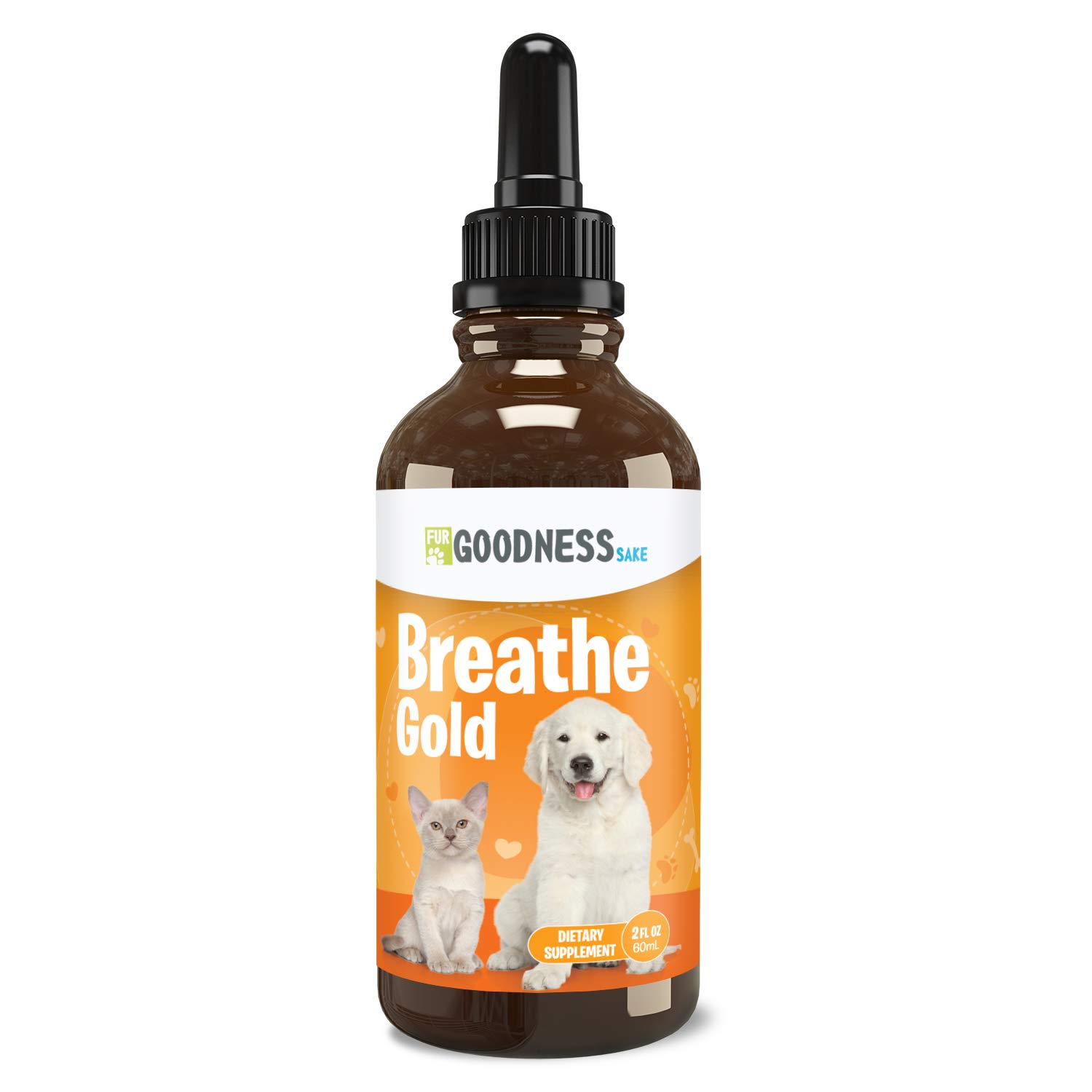 Home Care Kennel Cough