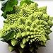 Broccoli Romanesco 50 Seeds per Packet - Rare & Unique