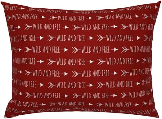 Amazon Com Roostery Pillow Sham Red Arrows Arrow Wild And Free