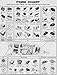 All 4 Meat Chart Posters (Beef Cuts, Purchasing Pork, Old Time Butcher Shop Beef, & Old Time Butcher Shop Pork
