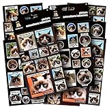 Grumpy Cat Stickers - 8 Sticker Sheets, Humorous Grumpy Cat Quotes Great for Crafting, Scrapbooking, Decorating and Snarking - Includes 1 Separately Licensed Cat Bookmark