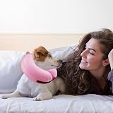 Emwel Pet Inflatable Collar for Large Dogs Comfy Recovery Cone L view 7