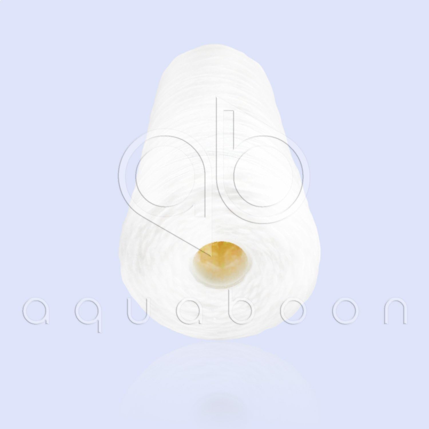 Aquaboon 5 Micron 10" Big Blue String Wound Sediment Water Filter Cartridge | Whole House Sediment Filtration | Compatible with 84637, WPX5BB97P, PC10, 355214-45, 355215-45, WP10BB97P WP5BB97P 2-Pack: Kitchen & Dining