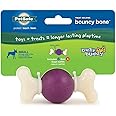 PetSafe® Busy Buddy® Bouncy Bone™, Treat Holding Dog Toy, Small, Best for Dogs Up to 10 Lb.