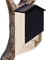 Beedozo Wooden Bat House Garden Outdoor Hibernation Nest Box Decoration Reusable view 6