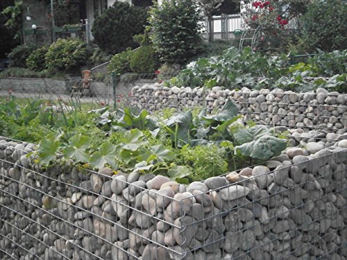 GABIONA - Gabionen Hochbeet HxBxT: 200x100x100 cm - Eckiger Gabionenkorb als Beet für den Garten - Maschenweite 5x5 cm – Bild 3