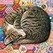 Ivory Cats wall calendar 2016 (Art calendar) by 