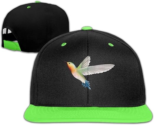 hummingbird baseball cap
