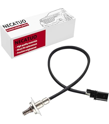 カラス Pattern Cat-Eye Glasses #4434139 | Zenni Optical