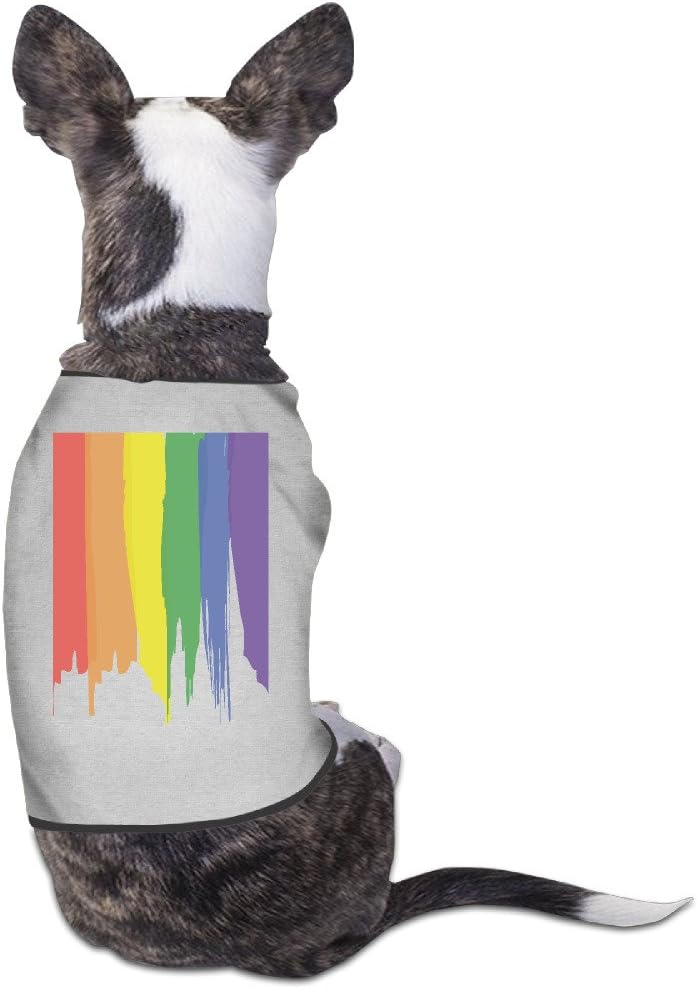 dog urns for ashes amazon