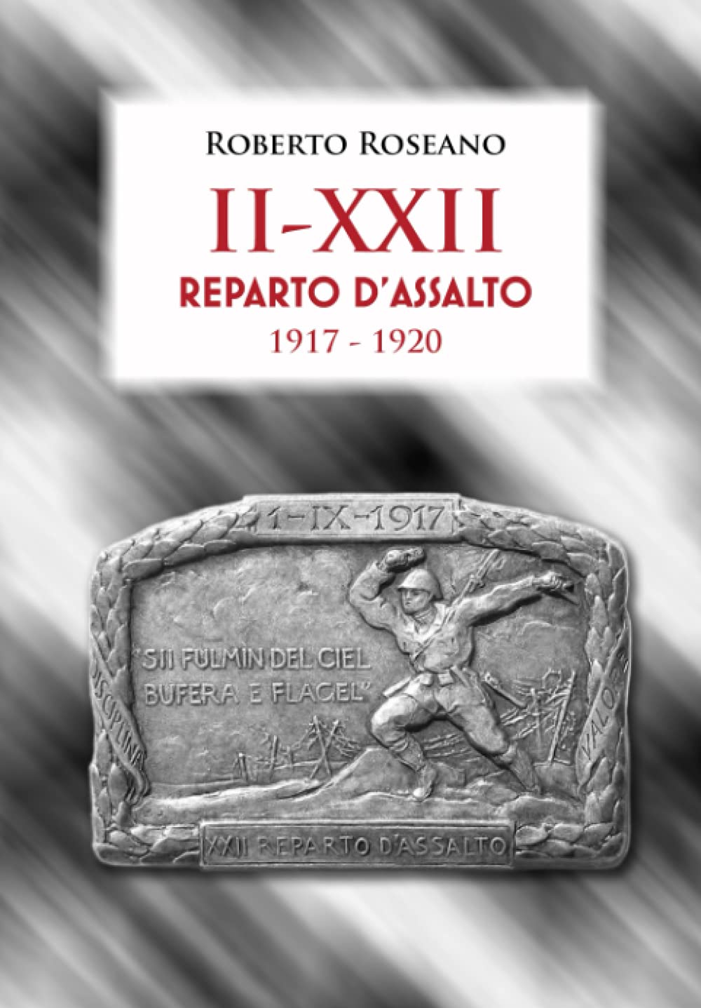 Ii Xxii Reparto D Assalto 1917 19 Italian Edition Roseano Roberto Amazon Com Books