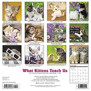 What Kittens Teach Us 2018 Calendar