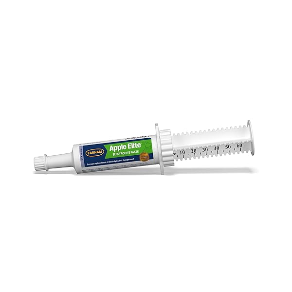 FARNAM APPLE ELITE ELECTROLYTE PASTE SUPPLEMENT FOR HORSES, REPLACES VITAL MINERALS, ENCOURAGES HYDRATION, NO ADDED SUGAR, 60 CC SYRINGE