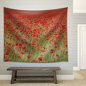 an Entire Fields of Wonderful Red Poppies - Fabric Wall Tapestry Home Decor - 51x60 inches