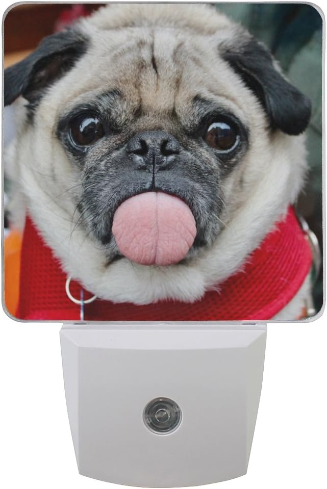 BONIPE The Cute Pug LED Night Light Auto Sensor Dusk to Dawn Soft Brightness for Bedroom, Bathroom, Hallway and Baby's Room Lamp Home Decor