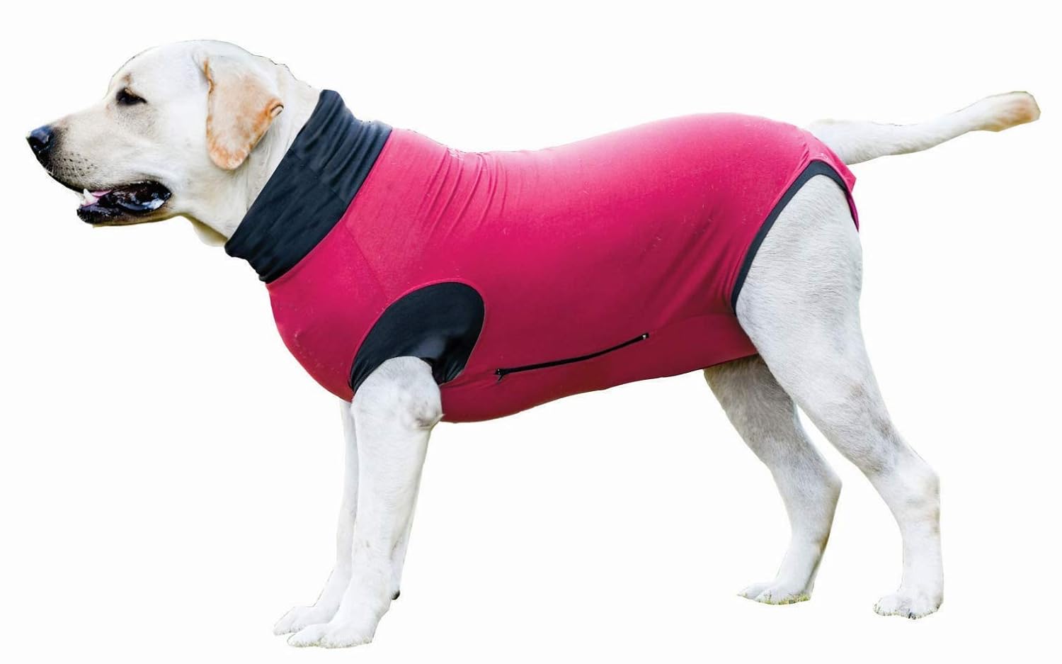 MAXX Medical Pet Care Clothing E Collar Dog Clothes, Vet Approved After