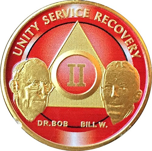 2 Year Founders AA Medallion Red Gold Plated Chip