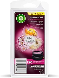 Air Wick Duftwachs – Nachfüller für das Air Wick Duftwachs-Gerät – Duft: Sommervergnügen – Bis zu 120 Stunden Dufterlebnis – 2 x 6 Duftwachsstäbchen