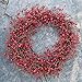 Ridgewood Red Berry Wreath 24 Inch - Stunning Red Berry Front Door Wreath Design That Transforms Winter Decor, Beautiful White Gift Box Included.